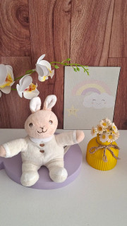 جغجغه خرگوش Bunnykins – شادی و ایمنی برای کوچولوها! 🐰✨